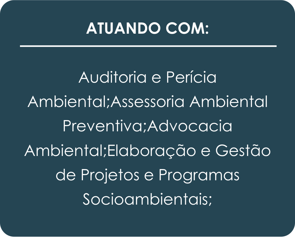 fundo 01.png